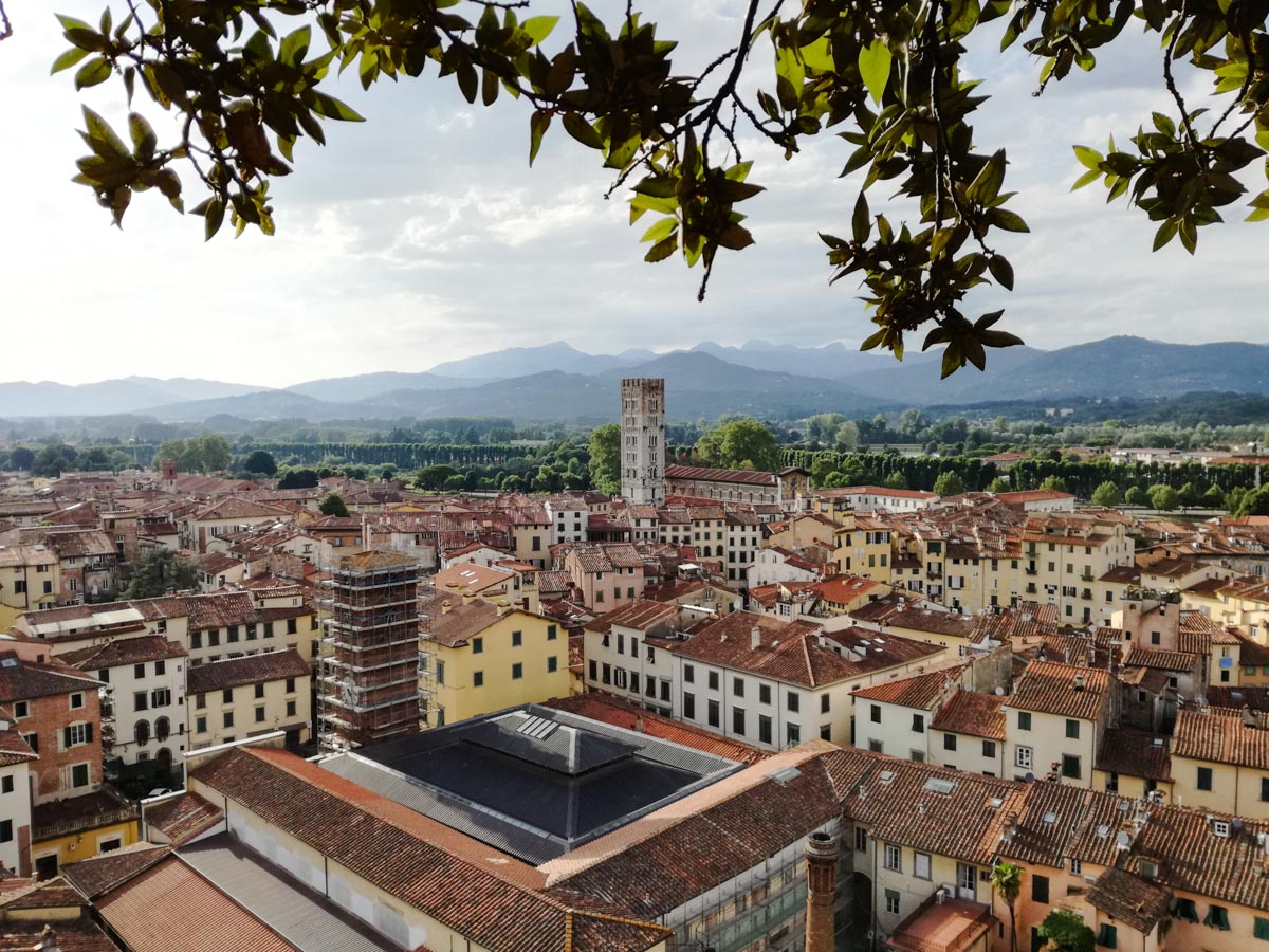 Vista da Torre Guinigi, em Lucca
