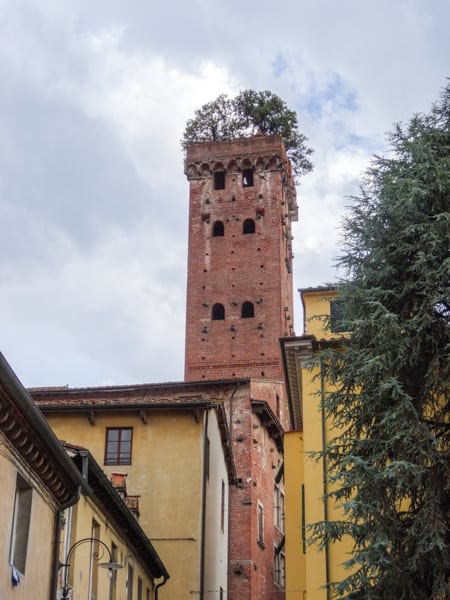 Torre Guinigi, em Lucca
