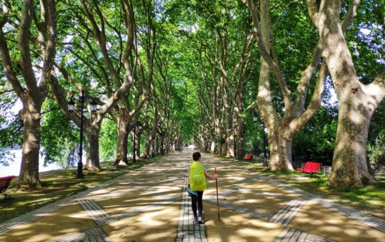 Caminho de Santiago – perguntas e respostas