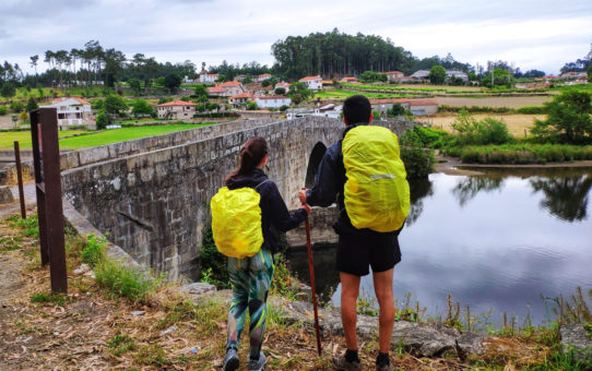 Os Caminhos de Santiago: números e mapas