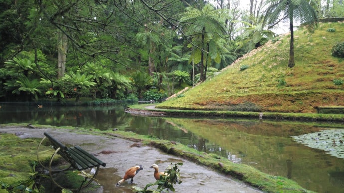 Parque Terra Nostra, em São Miguel, Açores