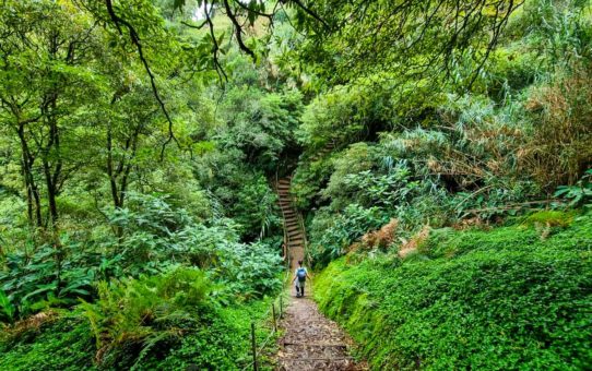 Nordeste de São Miguel: o que visitar no paraíso escondido dos Açores