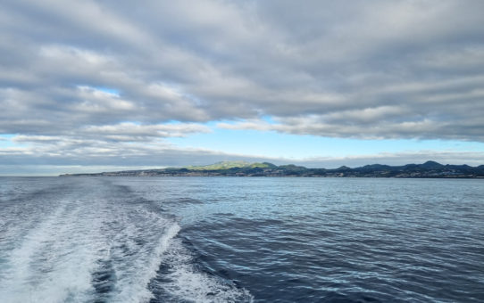 Na Rota dos Cetáceos: observação de baleias e golfinhos nos Açores