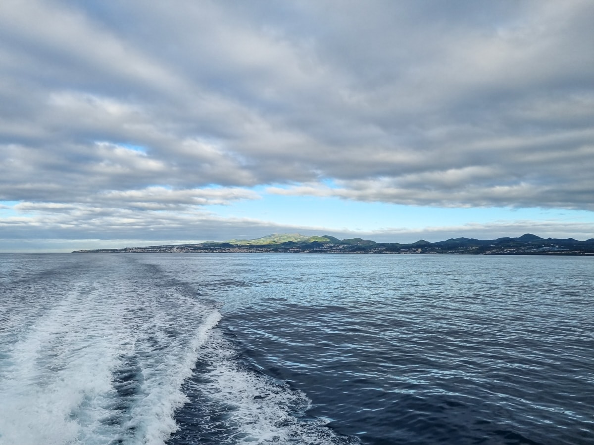 Na Rota dos Cetáceos: observação de baleias e golfinhos nos Açores